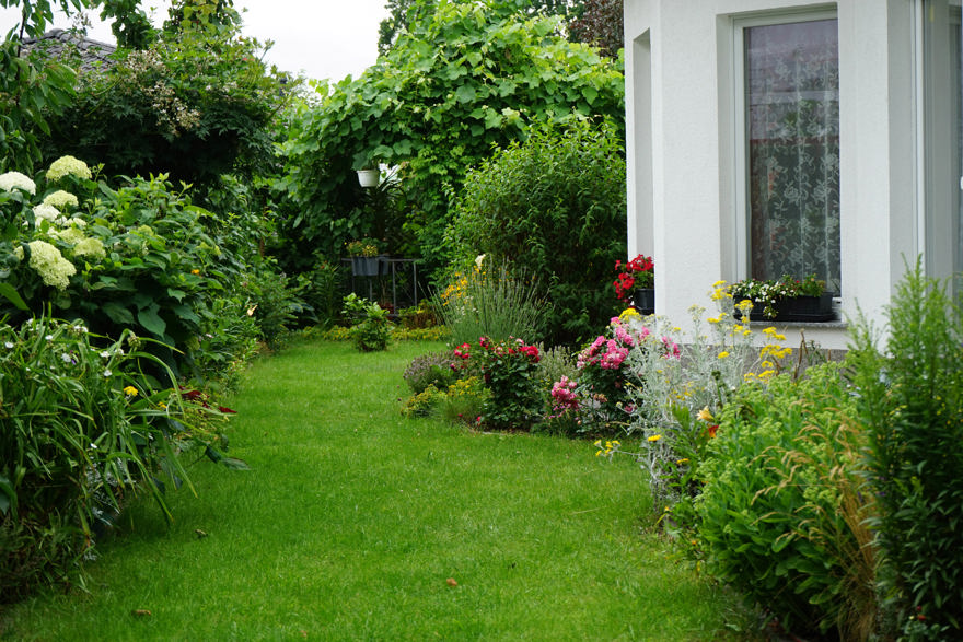 vergroenen tuin